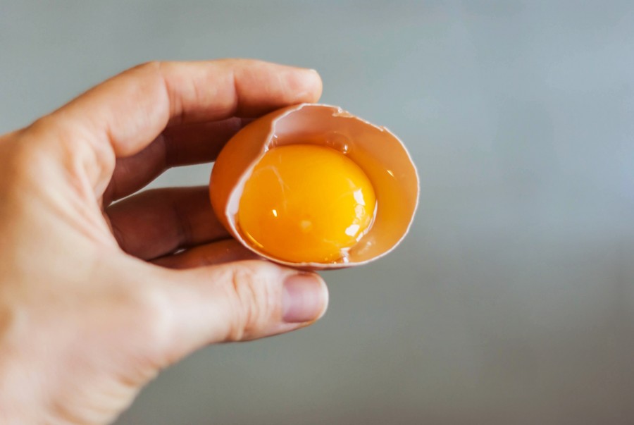 Comment vérifier la fraîcheur d'un œuf sans ouvrir la coquille ?